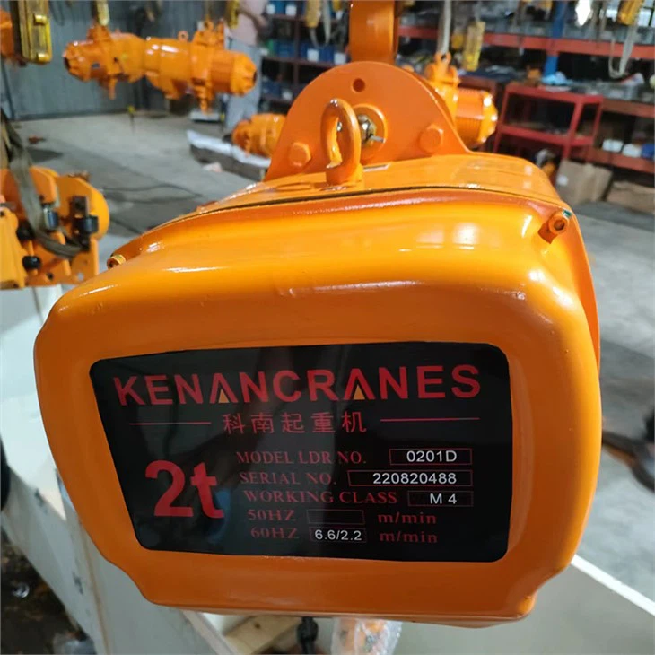 1 Ton Electric Hoist